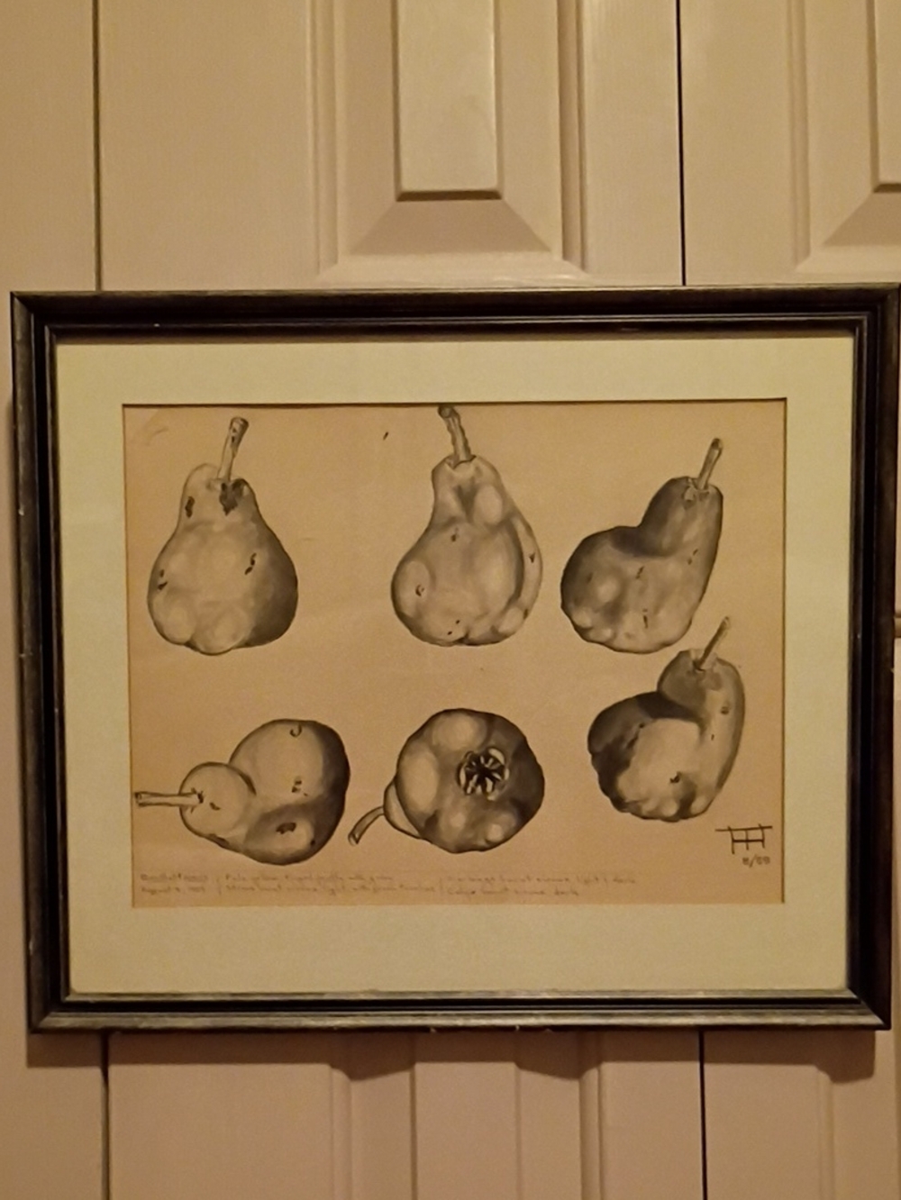 Framed Bartlett Pear Study Artist Drawing - Neutral Tones